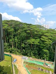 Blk 383 Bukit Batok West Avenue 5 (Bukit Batok), HDB 5 Rooms #562793681